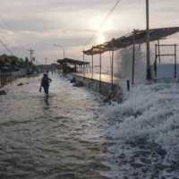 BMKG Ingatkan Terjangan Banjir Rob di Utara Jakarta Hingga 3 Januari 2025