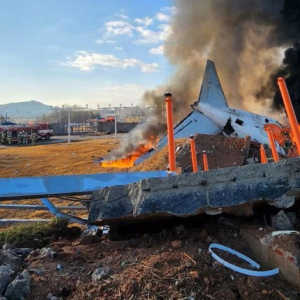 Kecelakaan Jeju Air: Diduga Dipicu Burung, Korban Jadi 124 Tewas, 2 Korban Selamat
