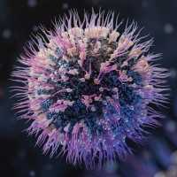 Kemenkes Pastikan Virus HMPV Asal China Belum Masuk RI, Tapi Tetap Waspada