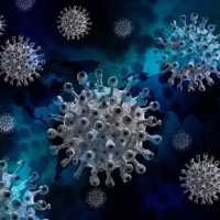 Virus HMPV Asal China Ditemukan di RI dan Diderita Anak-anak, Menkes: Jangan Panik