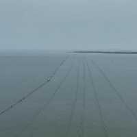 Presiden Prabowo Perintahkan Pagar Laut Misterius Dicabut!