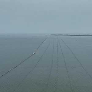 Presiden Prabowo Perintahkan Pagar Laut Misterius Dicabut!