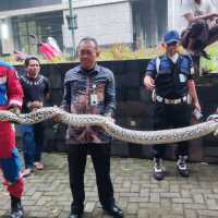 Cerita Petugas Damkar, Kini Tak Hanya Padamkan Api, tapi Juga Berburu Setan