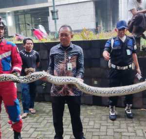 Cerita Petugas Damkar, Kini Tak Hanya Padamkan Api, tapi Juga Berburu Setan