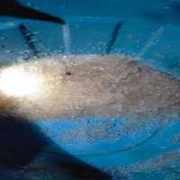 Heboh Hujan Misterius Berbentuk Jeli di Gorontalo Utara, Ini Kata BMKG