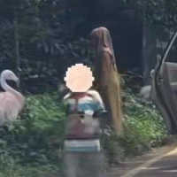 Turun dari Mobil di Area Terlarang, 1 Keluarga ini di-'Black List' Taman Safari Bogor