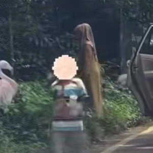 Turun dari Mobil di Area Terlarang, 1 Keluarga ini di-'Black List' Taman Safari Bogor