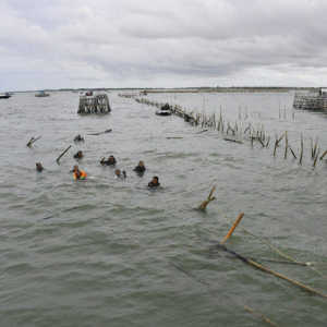 Kades Kohod Dijerat Kasus Pemalsuan Dokumen Pagar Laut Tangerang, Ini Modusnya