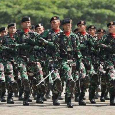 Tugas baru TNI: Angkatan Darat urus tanam jagung, Angkatan Laut kedelai