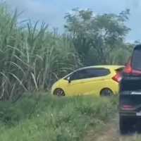 Viral Rombongan Mobil Pemudik Nyasar di Kebun Tebu Gegara Google Maps