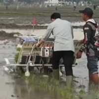 Viral Wapres Gibran Tanam Padi Maju ke Depan, Netizen: Malah Keinjak