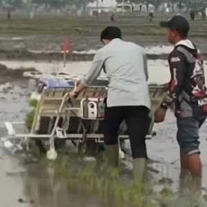 Viral Wapres Gibran Tanam Padi Maju ke Depan, Netizen: Malah Keinjak