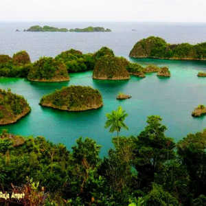 Penambangan di Pulau Kecil Seperti di Raja Ampat Langgar Aturan, Ini Bunyinya!
