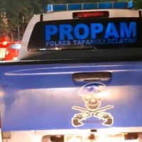 Viral Anak Polisi dan Teman Wanitanya Bawa Mobil Propam Hingga Tabrak Lari di Medan