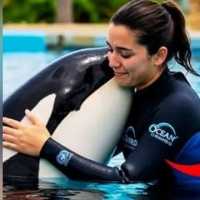 Siapa Jessica Radcliffe yang Disebut Tewas Diserang Paus Orca Didikannya?