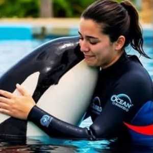 Siapa Jessica Radcliffe yang Disebut Tewas Diserang Paus Orca Didikannya?