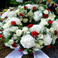 Mahasiswa RI di Belanda Meninggal Saat Dampingi Anggota DPR Kunker Tertutup di Wina