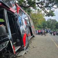 Kecelakaan Maut Bus Rombongan Nakes di Bromo: 8 Tewas, 44 Luka-luka