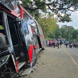 Kecelakaan Maut Bus Rombongan Nakes di Bromo: 8 Tewas, 44 Luka-luka