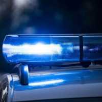 Viral Gerakan 'Stop Tot Tot Wuk Wuk di Jalan', Ini Kata Istana