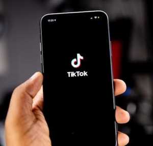 Pemerintah Bekukan Izin TikTok