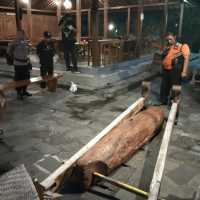 Bocah 6 Tahun Tewas Tertimpa Kentungan di Restoran di Kulon Progo, Ini Kronologinya