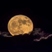 Fenomena Supermoon Emas 5 November 2025: Ini Waktu dan Cara Melihatnya