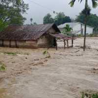 Bencana Banjir-Tanah Longsor Aceh, Sumut, Sumbar: 303 Tewas, 284 Hilang