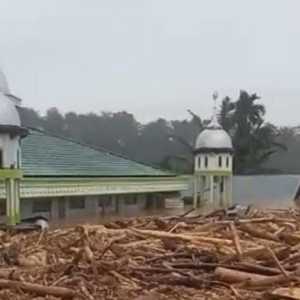 Desa Sekumur di Aceh Tamiang Hilang Tersapu Banjir, Hanya Terlihat Masjid dan Kayu