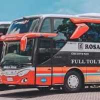 Viral bus PO Rosalia Indah ugal-ugalan di Tol Trans Jawa, sopirnya kini dipecat