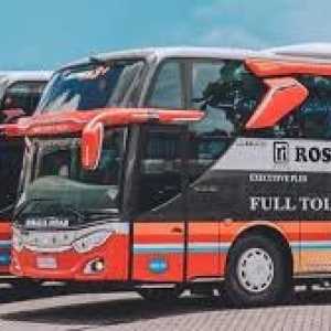 Viral bus PO Rosalia Indah ugal-ugalan di Tol Trans Jawa, sopirnya kini dipecat