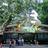 Kebun Binatang Bandung kembali dibuka, bayar tiket bisa pakai uang hingga sayuran