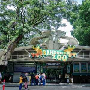 Kebun Binatang Bandung kembali dibuka, bayar tiket bisa pakai uang hingga sayuran