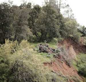 Tanah longsor terjang Cisarua Bandung Barat, 7 warga tewas