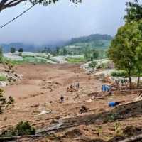 Longsor Cisarua Bandung Barat: 17 tewas, 11 teridentifikasi