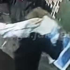 Heboh pria misterius diduga gendong mayat di Tambora, polisi turun tangan