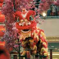 Jadwal dan daftar 10 lokasi pertunjukan barongsai gratis di Jakarta