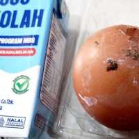 Viral menu telur MBG di Magetan dan Tulungagung masih ada kotoran ayamnya