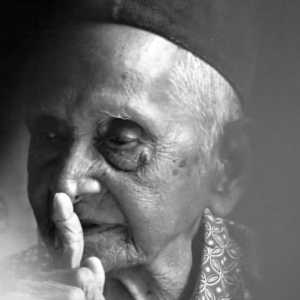 Teuku Nyak Sandang, tokoh Aceh donatur pesawat pertama Seulawah RI-001 meninggal