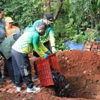 Kenapa ikan sapu-sapu harus dibasmi di sungai Jakarta? Ini ancamannya bagi ekosistem