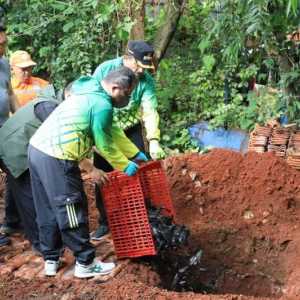 Kenapa ikan sapu-sapu harus dibasmi di sungai Jakarta? Ini ancamannya bagi ekosistem
