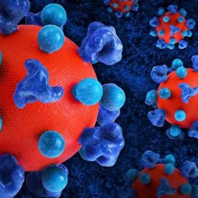 Hantavirus tengah merebak: apa penyebab, bagaimana penyebarannya, seberapa bahayanya?