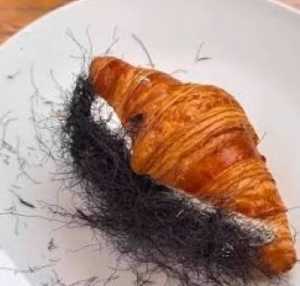 Viral Croissant 'Berambut', Apakah halal menurut Fatwa MUI?
