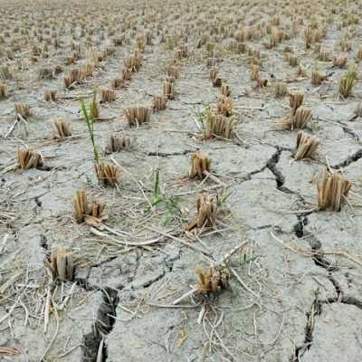 BMKG keluarkan peringatan dini: Pulau Jawa masuk zona merah kekeringan meteorologis