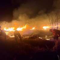 520 Hektare lahan di kawasan Gunung Bromo terbakar
