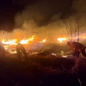 520 Hektare lahan di kawasan Gunung Bromo terbakar