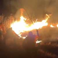 Kebakaran di Gunung Bromo tak terkait aktivitas vulkanik,