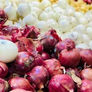 Prabowo sebut pengupas bawang upah Rp700 ribu per Kg, netizen: Pekerjaan idaman