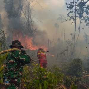 Gegara kabut asap karhutla di RI, Malaysia tutup 591 sekolah di Sarawak