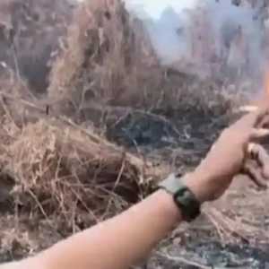 Anggota DPRD Mempawah pembakar lahan klarifikasi dan minta maaf